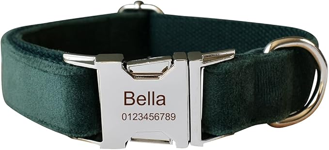 Dog Collar Custom Personalized Engraved Name and Phone Number for Puppy Small Medium Large Pets (M, Green)