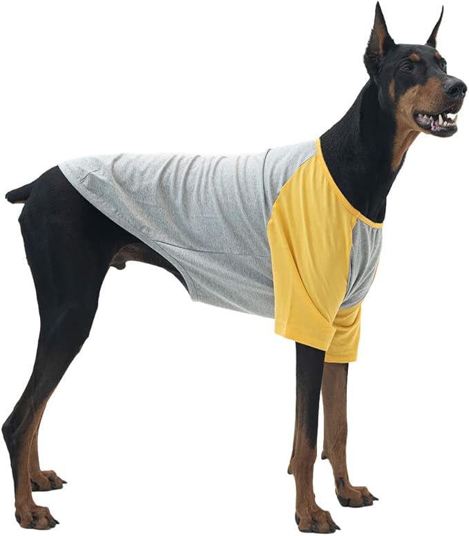 Dog Shirt for Small and Large Dogs Raglan Cotton T-Shirts Soft Breathable Dog Shirts pet Clothes Gray Series (5X-Large, Gray/Yellow)