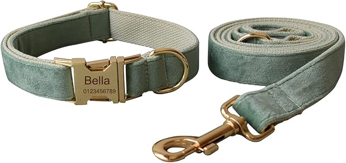 Dog Collar Custom Personalized Engraved Name and Phone Number for Puppy Small Medium Large Pets (M, Fruit Green)