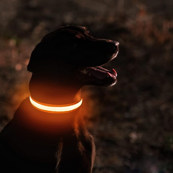 MASBRILL LED Dog Collar-Light Up Dog Collars Rechargeable Waterproof Lighted Dog Collar Night Walking Glow Collar for Small Medium Large Dogs
