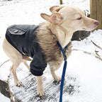 PETLESO Dog Coat for Small Dogs, Dog Leather Jacket Waterproof Windproof, Double Layer Warm Dog Winter Coat with Plush Lined, Black L