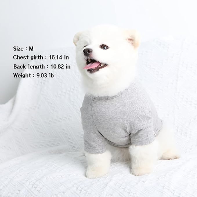 Dog Shirt for Small Dogs Plain T-Shirts Soft Breathable Dog Cotton Shirt pet Clothes (X-Small, Gray)