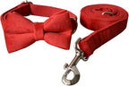 Dog Collar Custom Personalized Engraved Name and Phone Number for Puppy Small Medium Large Pets (XL, Red)