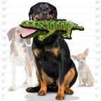TUFFY - World's Tuffest Soft Dog Toy - Ocean Alligator-Squeakers - Multiple Layers. Made Durable, Strong & Tough. Interactive Play (Tug, Toss & Fetch). Machine Washable & Floats. (2 Packs)