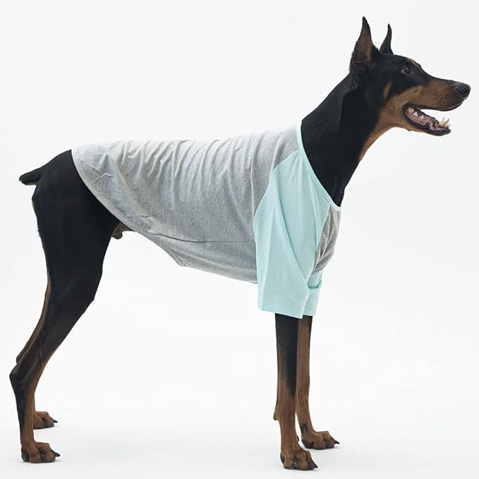Dog Shirt for Large Dogs, Grey, X-Large, Raglan Cotton T-Shirt