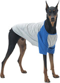 Dog Shirt for Small and Large Dogs Raglan Cotton T-Shirts Soft Breathable Dog Shirts pet Clothes Gray Series (X-Large, Gray/Blue)