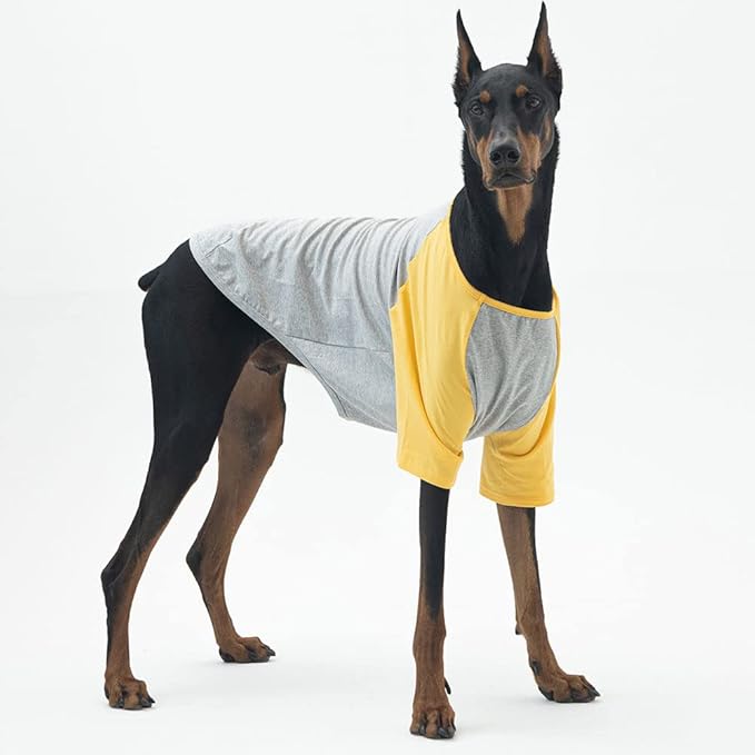 Dog Shirt for Small and Large Dogs Raglan Cotton T-Shirts Soft Breathable Dog Shirts pet Clothes Gray Series (3X-Large, Gray/Yellow)