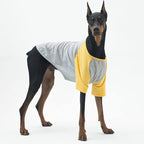 Dog Shirt for Small and Large Dogs Raglan Cotton T-Shirts Soft Breathable Dog Shirts pet Clothes Gray Series (5X-Large, Gray/Yellow)