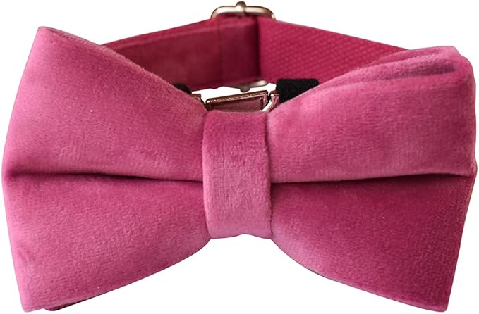 Dog Collar Custom Personalized Engraved Name and Phone Number for Puppy Small Medium Large Pets (L, Rose)