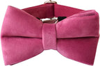Dog Collar Custom Personalized Engraved Name and Phone Number for Puppy Small Medium Large Pets (M, Rose)
