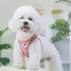 Step in Dog Harness and Leash Set, Flower Adjustable Easy Walk Puppy Harnesses, Soft Mesh Pet Vest Harness Small Size Dog Adjustable No Pull Dog Harness for Small Medium Dogs(Pink, S)