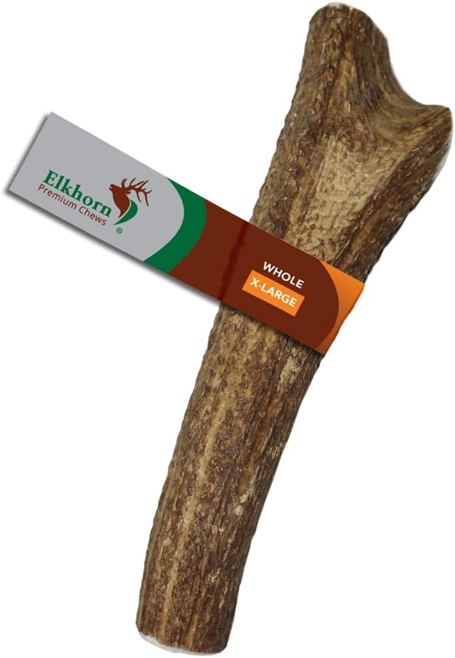 – X Large Whole Single Pack (for 50-90 lb Dogs) Premium Grade Elk Antler for Dogs (1 Piece) Sourced in The USA
