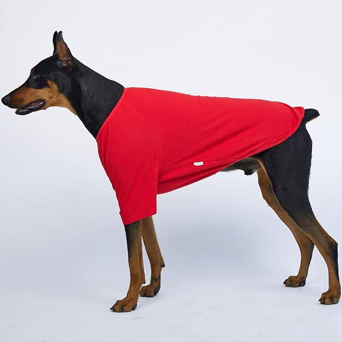 Dog Shirt for Small Dogs Plain T-Shirts Soft Breathable Dog Cotton Shirt pet Clothes (4X-Large, Red)