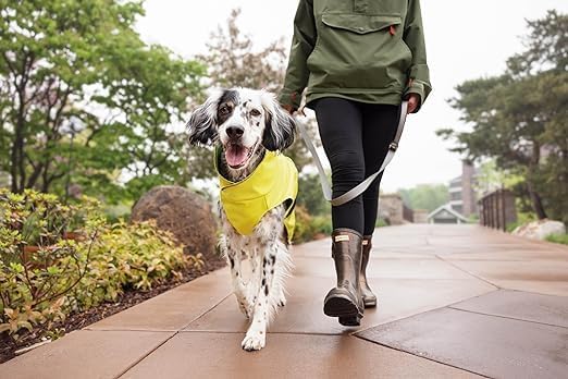 Goldpaw Rainpaw Waterproof Dog Raincoat - Durable Dog Rain Jacket for All Seasons - Easy to Wear, Adjustable, Premium Pet Outerwear - Made in The USA - Machine Washable - Black Bean - Size 8