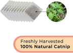 Whiskertons Interactive Bird Simulation Cat Toy Set, Interactive Cat Toys for Indoor Cats (10 Replacement Catnip Pouches)