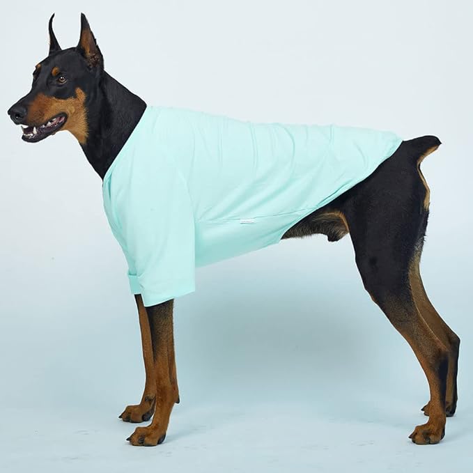 Dog Shirt for Small Dogs Plain T-Shirts Soft Breathable Dog Cotton Shirt pet Clothes (2X-Large, Mint)