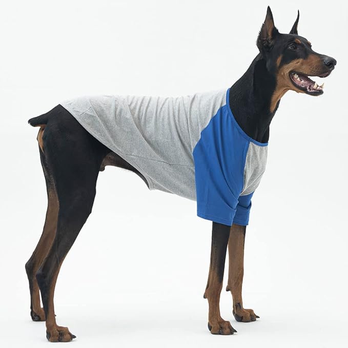 Dog Shirt for Small and Large Dogs Raglan Cotton T-Shirts Soft Breathable Dog Shirts pet Clothes Gray Series (X-Large, Gray/Blue)