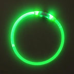 BSEEN Light Up Dog Collar - LED Dog Collar Rechargeable, Glowing Pet Collars for Small Medium Large Dogs, TPU Cuttable Lighted Puppy Collar, Safety Dog Lights for Night Walking (Green 70cm)