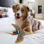 Pheasant Dog Toy Squeaky Pet Toys,Pheasant Interactive Chew Toys Stuffed Teething Toys for Large Medium Small Dog,Pheasant Dogs Toys Squeaky Toy to Keep Them Busy (R-2pheasant)