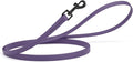 Dogline Biothane Waterproof Dog Leash Strong Coated Nylon Webbing with Black Hardware Odor-Proof Easy to Clean High Performance for Small or Large Dogs Made in USA 4 or 6 ft Lead, Violet Purple