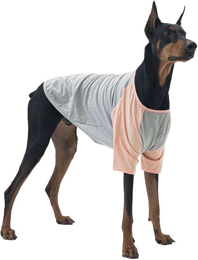 Dog Shirt for Small and Large Dogs Raglan Cotton T-Shirts Soft Breathable Dog Shirts pet Clothes Gray Series (4X-Large, Gray/Peach)