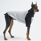 Dog Shirt for Small and Large Dogs Raglan Cotton T-Shirts Soft Breathable Dog Shirts pet Clothes Gray Series (4X-Large, Gray/Black)