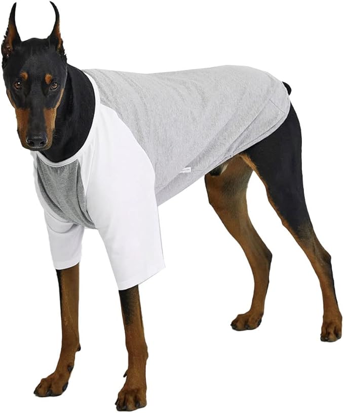 Dog Shirt for Small and Large Dogs Raglan Cotton T-Shirts Soft Breathable Dog Shirts pet Clothes Gray Series (4X-Large, Gray/White)