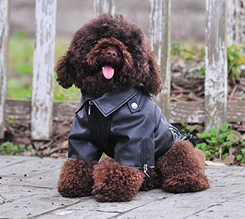 Lovelonglong Cool Dog Leather Jacket, Warm Coats Dogs Windproof Cold Weather Coats for Large Medium Small Dogs, Yorkshire Terrier Clothing Black S