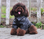 Lovelonglong Cool Dog Leather Jacket, Warm Coats Dogs Windproof Cold Weather Coats for Large Medium Small Dogs, Miniature Poodle Clothing Black L