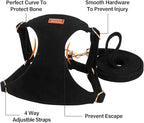 No Pull Dog Harness- Lightweight, Soft, Adjustable Small Harness Collar and Leash Set, Suitable for Cats Puppy Small and Medium-Sized Dog Outdoor Training and Running (Black, S)