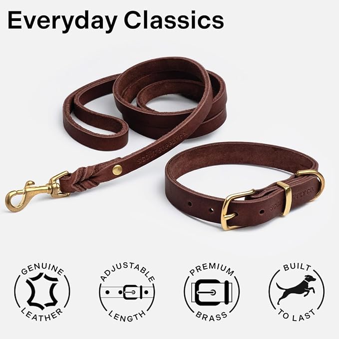 Scout Supply Classic Leather Dog Collar | Heavy Duty Thick Full Grain Leather | Waterproof & Rust-Proof Brass Hardware (Dark Brown, Large)