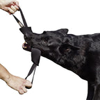 Dingo Gear French Linen tug Toy for Dog, Dog Bumper for Training, Agility, tug of war, Dog bite Pillow for Strong Dog, 2handles 11" Black S00074