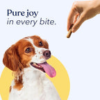 Honest Paws Dog Jerky Treats - All-Natural Jerky Dog Treats for Training Pets - Human Grade Bites - Real USA Chicken