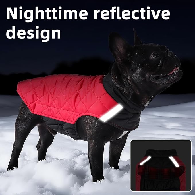 Reversible Waterproof Dog Coat - Adjustable Winter Jacket for Small to Large Breeds, Warm Cold Weather Apparel for Medium Dogs (Army Green & Orange, Medium (Pack of 1))