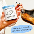 Spot & Tango Probiotics Supplements for Dogs - Vet-Approved for Healthy Digestion and Balanced Gut - Pumpkin, Turmeric, Chicory Root, Black Pepper, Nine-Strain Probiotic Blend, 56 Count