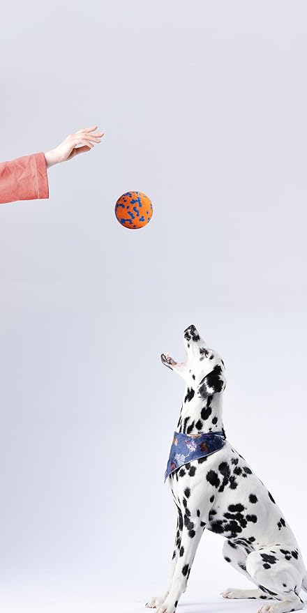 Dog Balls, Indestructible Dog Toy Ball for Aggressive Chewers, Durable High Elasticity Interactive Ball for Training Dog Catch and Fetch, Large Medium Small Dog and Puppies(Orange, 2.5in, 2pcs)