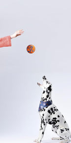 Dog Balls, Indestructible Dog Toy Ball for Aggressive Chewers, Durable High Elasticity Interactive Ball for Training Dog Catch and Fetch, Large Medium Small Dog and Puppies(Orange, 2.5in, 2pcs)