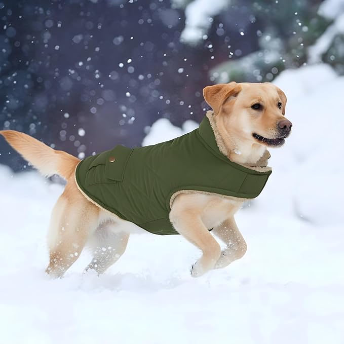 ASENKU Warm Dog Winter Coat, Waterproof Dog Coat for Cold Weather, Fleece Dogs Jacket with Ultra Thick Plush Lining Leash Hole Storage Pockets for Medium Large Dogs (Green, Large)