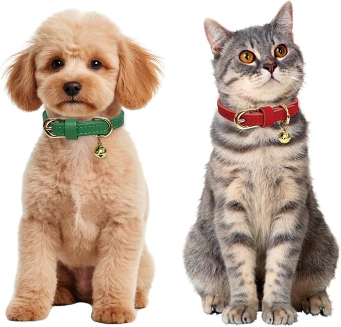 Guiding Star Leather Collar for Puppy, Cute Soft Thin Dogs Collars for Small Medium Dogs, Cat Collar with Bell (Green, XS, 9"-12")