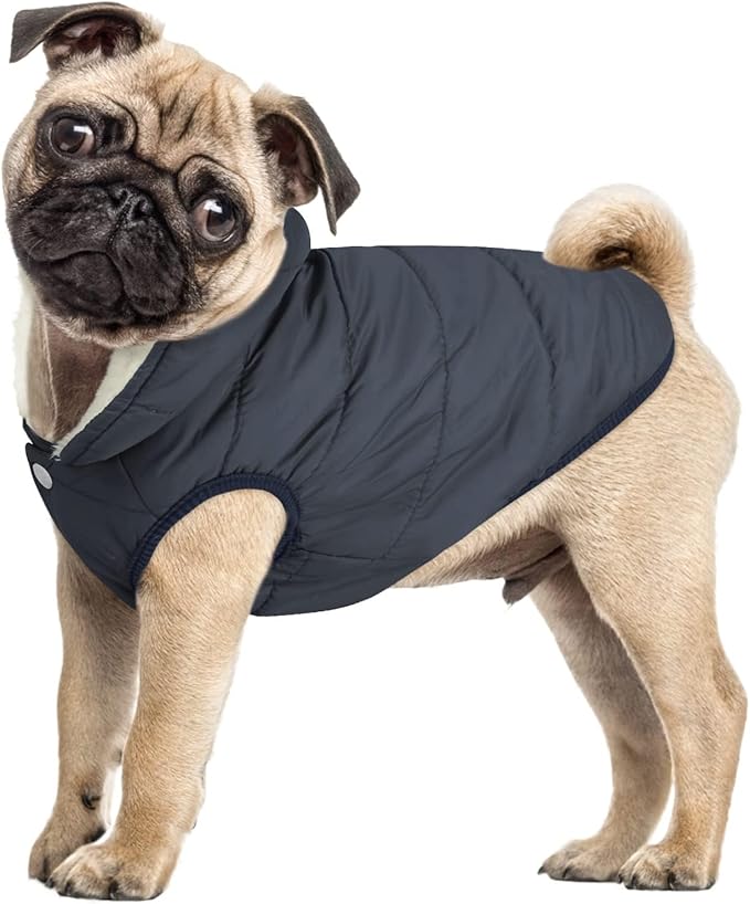 ASENKU Dog Winter Coat - Waterproof Windproof Dog Jacket, Warm Snowproof Doggie Puffer Vest for Cold Weather, Lightweight Snow Coats for Small Medium Large Dogs(M, Blue)