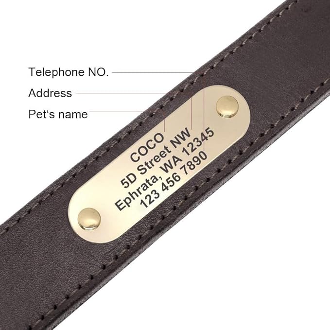 Didog Genuine Leather Dog Collars with Engraved Nameplate, Personalized Soft Leather Dog Collar with Custom ID Tag, Brown/Green/Red for Small Dogs (S,Brown)