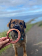 Redbarn Pet Products All-Natural 4" Bully Stick Rings for Dogs - Premium Grain-Free & Rawhide-Free Single Ingredient Long Lasting Low Odor Dental Treat for Chewers - 3 Count
