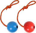2 Pack Dog Ball, K9 Ball on Rope for Reward, Fetch, Play (Blue and Red)