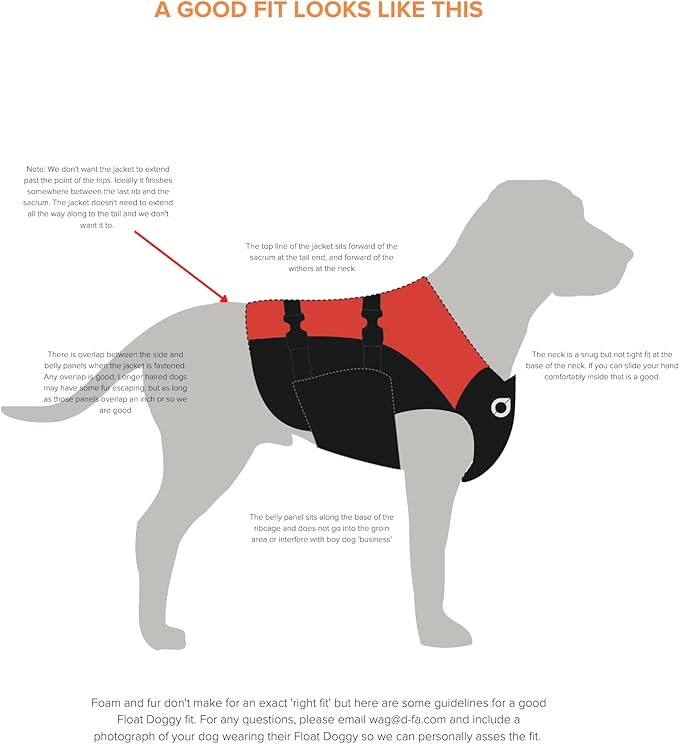 Stunt Puppy Float Doggy Life Jacket, Ergonomic Dog Life Vest for Swimming, Patented Design for Secure Fit, Small Wide, Mango
