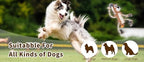 Squeaky Dog Toys Interactive Durable Rope-Infused Lion Shape Puppy Chew Toys for Small, Medium and Big Dogs