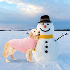 Mihachi Turtleneck Dog Sweater - Winter Coat Apparel Classic Cable Knit Clothes with Leash Hole for Cold Weather, Ideal Gift for Pet in New Year Flesh Pink Medium