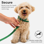 Classic Genuine Leather Dog Collar | Dog Collars for Medium Dogs, Small Dogs, Large Dogs & Extra Large Dog | Wide Dog Collar | Heavy Duty Collar (Green, Large)