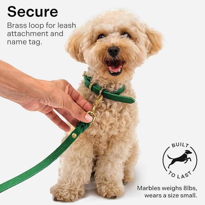 Classic Genuine Leather Dog Collar | Dog Collars for Medium Dogs, Small Dogs, Large Dogs & Extra Large Dog | Wide Dog Collar | Heavy Duty Collar (Green, Medium)