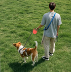 Retractable Dog Leash Hands-Free Adjustable Length 16ft with Safety Lock Durable Nylon Belt for Small Medium Large Dogs Easy Walk Training Portable Dog Leash Red L