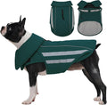 IECOii Dog Coat - Waterproof, Windproof Winter Coats for Light Rain & Snow Cold Weather, Reflective & Adjustable, Warm Fleece Lined, Dachshund, Green, Size M